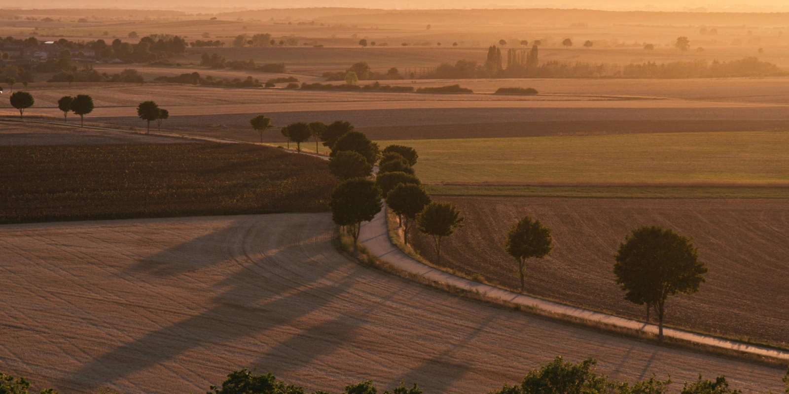 Comment Sélectionner un IUT pour le BUT GCCD