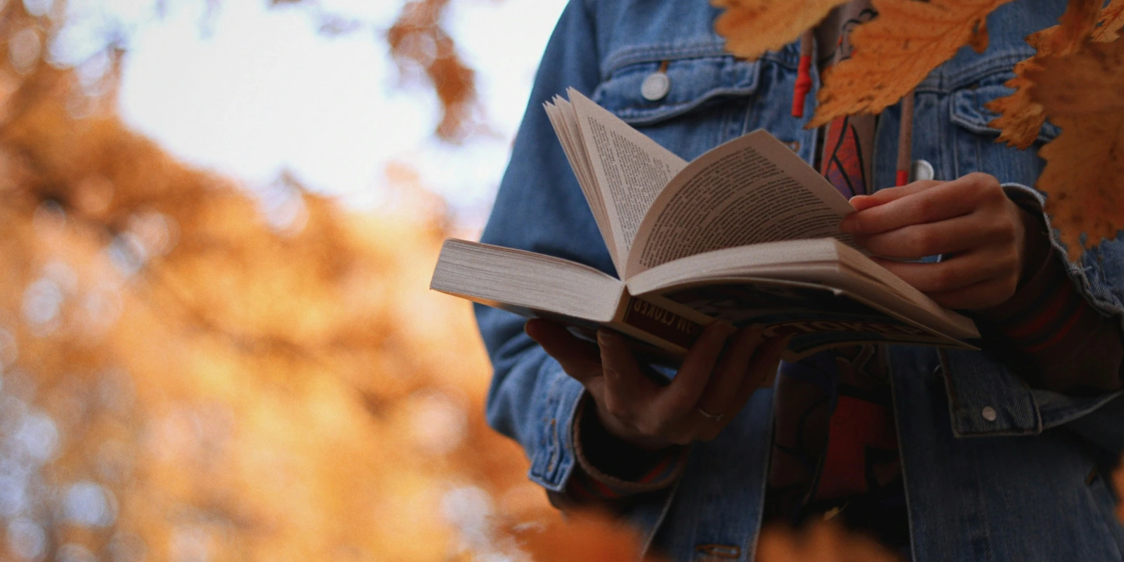 Les Formations en Génie Civil à L'IUT de Tarbes